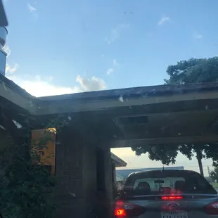 30min drive through wait