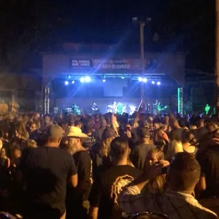  a crowd of people at a concert