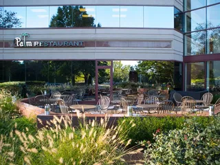 The Palm - Tysons