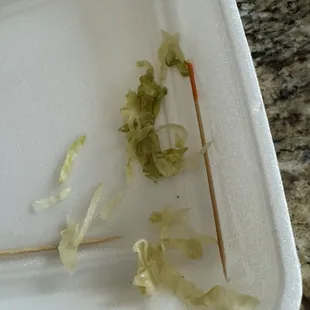Lettuce??? Not sure!