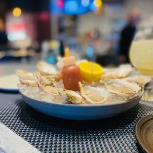 $1 Oysters