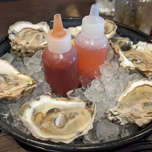 Oysters