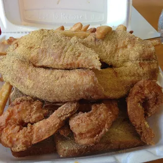 Tilapia