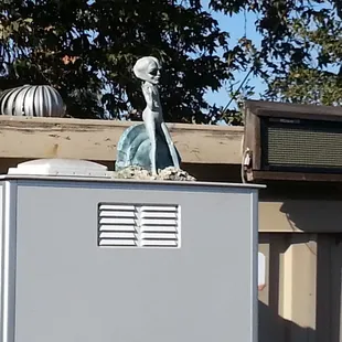 Alien watching you as you disembark on Ryer Island side