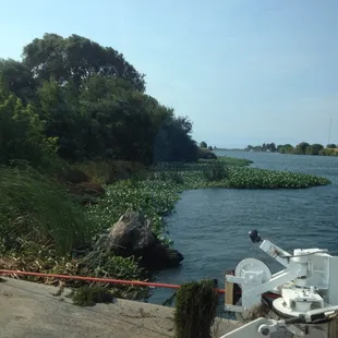 Leaving the platform