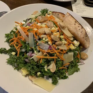 Salmon