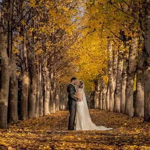 Romantics at Sunset, fall.