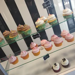 a display of cupcakes in a glass case