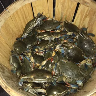 a basket full of crabs