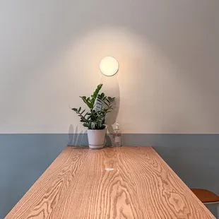 a table with a potted plant