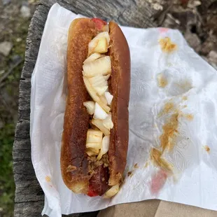 HD with m, c, o - still a good dog after all these years!