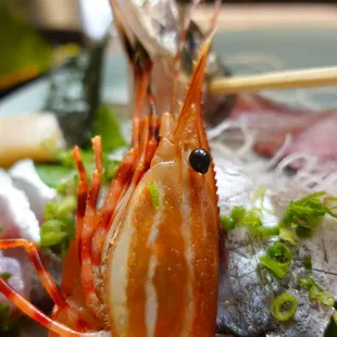 a close up of a plate of food