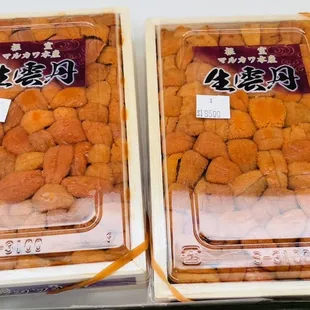 Uni from Japan