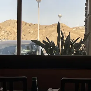 The view from my table