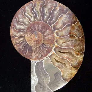 Record of more than 20 years of beautiful work!