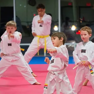 J. Tiger martial arts