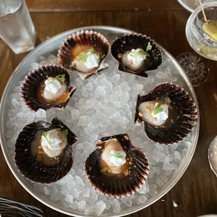 Peruvian Bay Scallops (raw scallops topped with coconut foam, crushed cashew, and a pinch of spice in a light citrusy dressing)