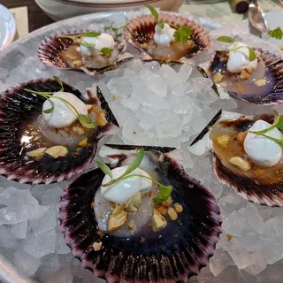 Peruvian Bay Scallops