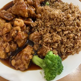  a plate of chinese food