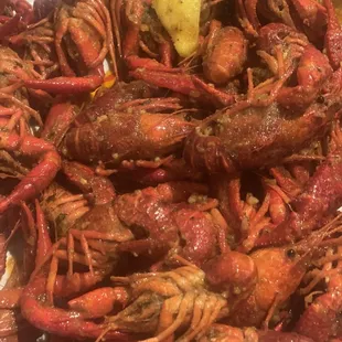 Crawfish