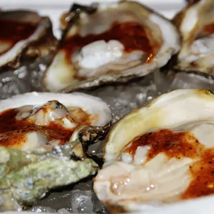 a plate of oysters
