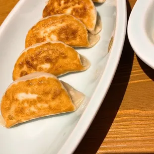 Pan Fried Dumplings