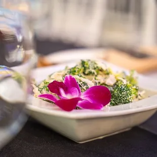 food, salads