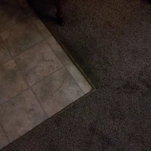 Front entry leading into Living Room -- Preference Plus Vinyl flooring and Painted Stone -- Golden Topaz carpeting.