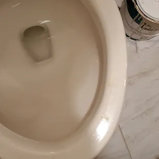 The installer pee on my toilet.