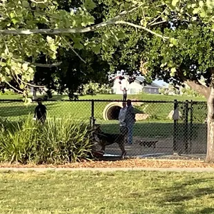 Dog park