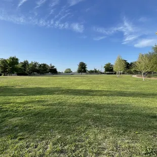 Beautiful open field