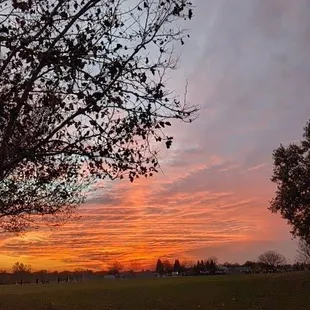 Beautiful sunset at the park