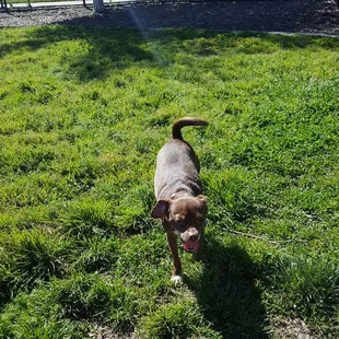 My baby latte mocha stoute norris lol