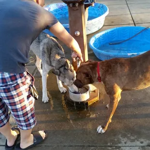 Sammy and his buddy Gabby