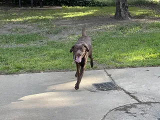 Bannon Creek Dog Park