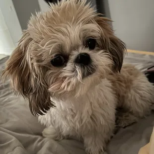 Before - SOOOO Darn Cute!!