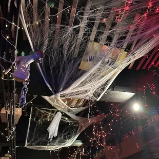 a spider web hanging from the ceiling