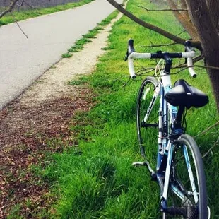 The end/beginning of the trail towards the park. This entrance is through Bond/Waterman Rd.