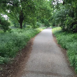Walking/riding path
