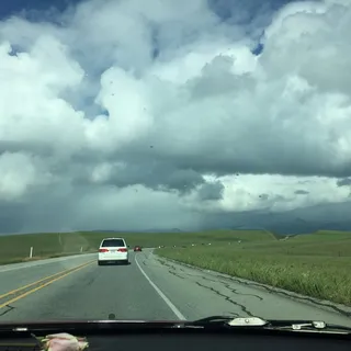 Food And Travel Critic F.