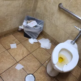 Nasty toilet