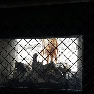 Great milk shake fire place...