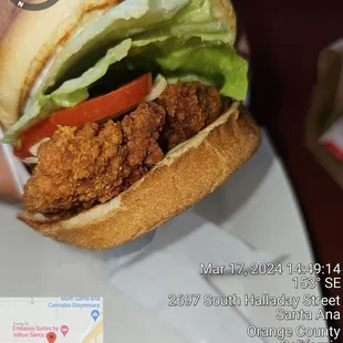 oysters, mussels, oysters and mussels, shellfish, food