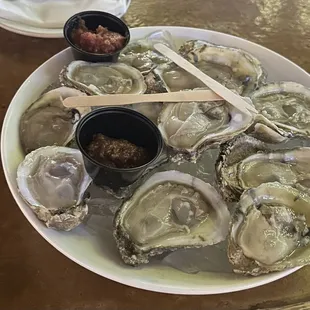 Oysters