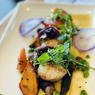 Scallops - amazing