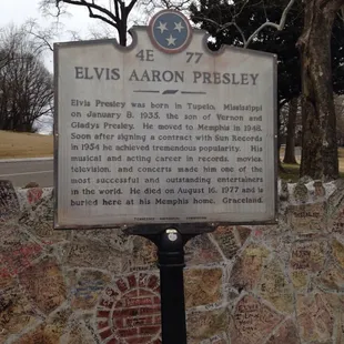 Right down the road from Graceland