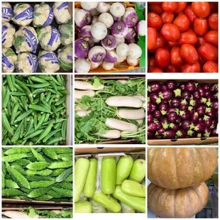 Fresh Veggies Twice every week.