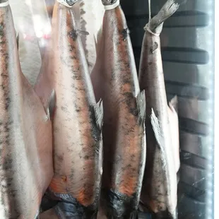 Dry Aging Ora King Salmon