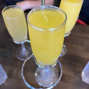 Mimosa Flight