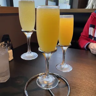 Mimosa Flight